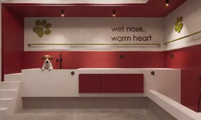 Zona para mascotas de The Standard